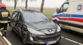 Fotka nr 2 z 4