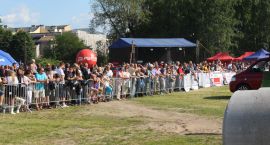 zdjęcie nr 161