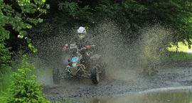 Fotka nr 2 z 5