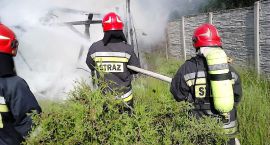 Fotka nr 1 z 10
