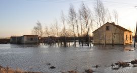 zdjęcie nr 24