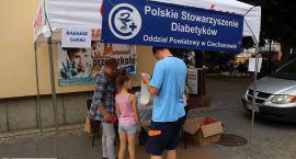 zdjęcie nr 16