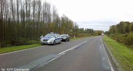 Fotka nr 3 z 10