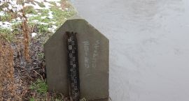 zdjęcie nr 47