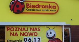 Fotka nr 4 z 6