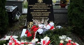 zdjęcie nr 35