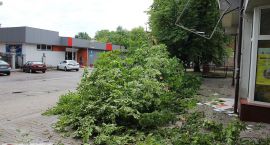 zdjęcie nr 12