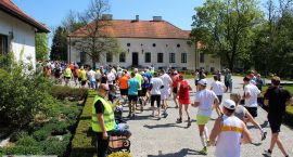 zdjęcie nr 52