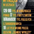 Fotka nr 5 z 6