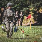 Fotka nr 5 z 8