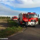 Fotka nr 2 z 7