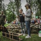 zdjęcie nr 7