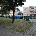 zdjęcie nr 8