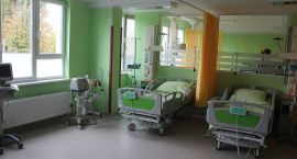 zdjęcie nr 50
