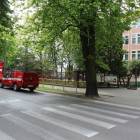Fotka nr 1 z 10