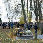 zdjęcie nr 26