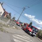 Fotka nr 2 z 4
