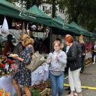 zdjęcie nr 16