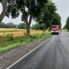 zdjęcie nr 13