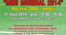 piknik rodzinny 2014 650