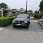 zdjęcie nr 7