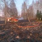 Fotka nr 2 z 12