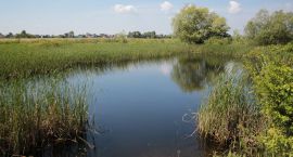 zdjęcie nr 22
