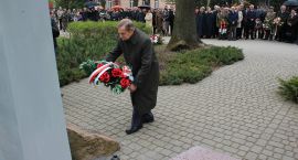 zdjęcie nr 12