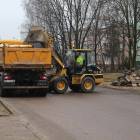 Fotka nr 3 z 12