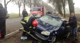 Fotka nr 1 z 4