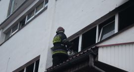 zdjęcie nr 13