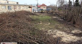 zdjęcie nr 7