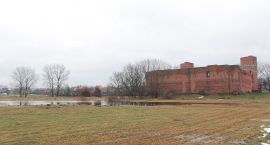 zdjęcie nr 35