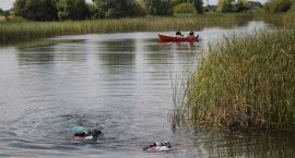 zdjęcie nr 38