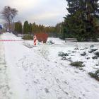 Fotka nr 2 z 5