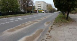 Fotka nr 5 z 7