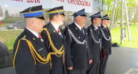 zdjęcie nr 10