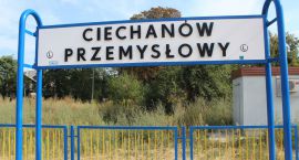 zdjęcie nr 7