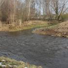 Fotka nr 5 z 7
