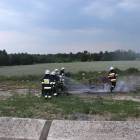 Fotka nr 2 z 4