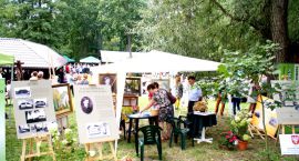 zdjęcie nr 42