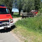 Fotka nr 2 z 3