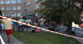 zdjęcie nr 103