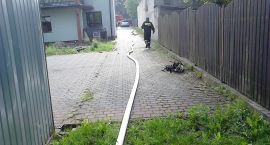 zdjęcie nr 9
