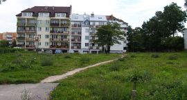 zdjęcie nr 9