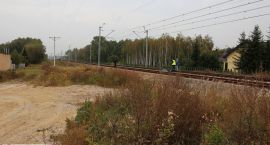 zdjęcie nr 10