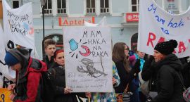 zdjęcie nr 11