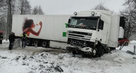 zdjęcie nr 8