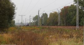 Fotka nr 3 z 12