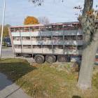 zdjęcie nr 8
